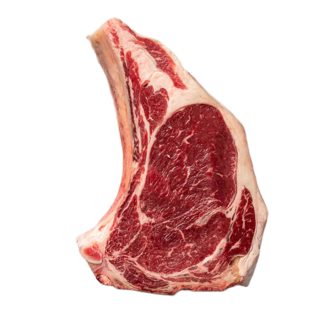 fiorentina-costata-ERBA_BIO